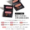 Cheek Brush, Compact (Powder Brush, Face Brush, Blush Horse Hair,