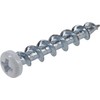 Borefast Drywall Anchors, Self Drilling Wall Anchor Kit, Steel, 50-250