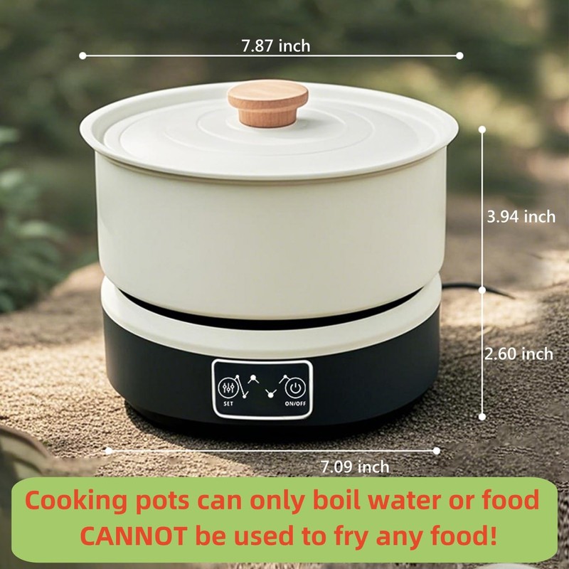 Portable Induction Cooktop with 2-Qt Pot - 650W Fast Heating,