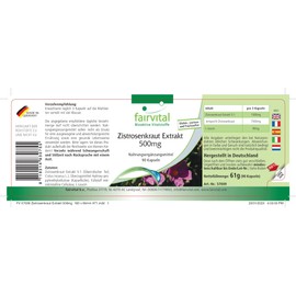 Fairvital Cistus Herb Extract 500 mg - 90 Capsules - 5x Concentrated Cistus Extract - Natural Source Polyphenols - 100% Vegan - Quality Tested and High Dose - Made in Germany