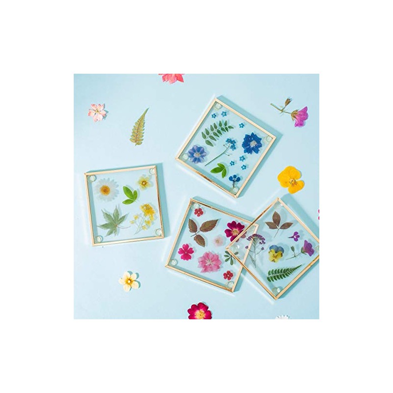 Sass & Belle Flower Print Glass Coasters
