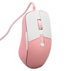 Wired Mouse Ergonomic Streamlined Cool RGB Optical Sensor Gaming Mechanical