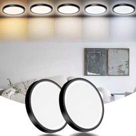 IBESTWIN 2 Pack LED Flush Mount Ceiling Light Fixture, 24W 12Inch 3000K, 3500K, 4500K, 5000K, 6500K 5 Color Temperatures Low Profile Ceiling Light for Bedroom, Living Room, Dining Room, Black