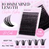 Cluster Lashes D Curl Individual Eyelashes Natural 60D-10-18mm Mixed Wispy