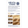 Clairol Nice n Easy Ultra Light Summer Blonde SB2 Hair
