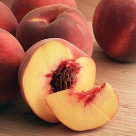 GEORGIA PEACH FRAGRANCE OIL - 16 OZ/ 1 LB - FOR CANDLE & SOAP MAKING BY VIRGINIA CANDLE SUPPLY - FREE S&H IN USA