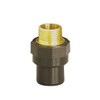 3/4 "CPVC X Brass A GIRPI HTA 3/4 heal25