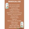 VitaDefence High Strength Vegan Mushroom+ Complex | Potent Organic 'Shroom