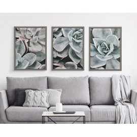 Kate and Laurel Blake Botanical Succulent Plants 1 Framed Printed Glass Wall Art by The Creative Bunch Studio, 18x24 Gray, Lovely Nature Art for Wall
