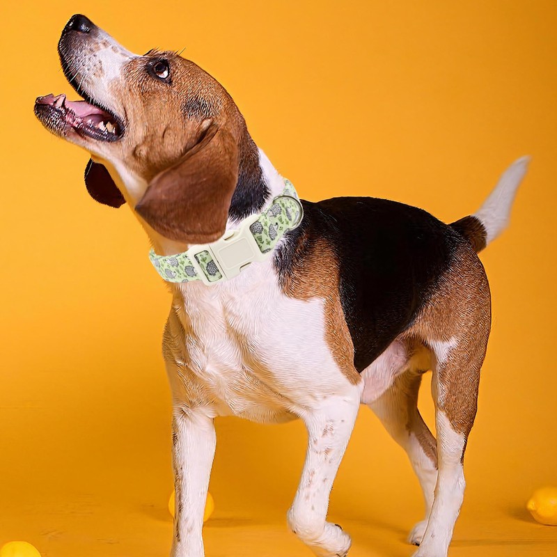 Hedgehog Dog Collar for Small Dogs, Green Pet Collar with