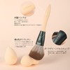 DUcare DUcare Makeup Brushes 14-piece Set with 3 Makeup Sponges,