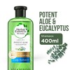 Herbal Essences Sulphate-Free Potent Aloe + Eucalyptus Cleansing Shampoo for