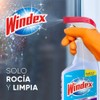 Windex (WIOVL) Crystal Rain, Sin Amoníaco, Atomizador 640 mL