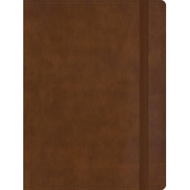 RVR 1960 Biblia de apuntes tamaño personal, café, símil piel / RVR 1960 Personal size Note taking Bible Brown LeatherTouch (Spanish Edition)