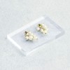 Sasagawa Shop Supplies Acrylic Block Business Card Size 32-9516