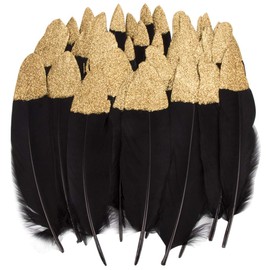 Vidillo Colourful Feathers, Pack of 40 Gold/Silver, Dipped, Natural, Red/Black