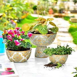 Sungmor Cement Planter Succulent Pots, Set of 3 Concrete Cactus Plant Pot with Drainage Hole, Embossed Design Flower Pot for Home Office Decor, 5.9" & 7.5" & 9.4" Indoor Outdoor Plants Container