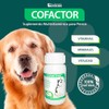 RUILAND Cofactor Suplemento Multivitamínico para Perros