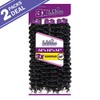LULUTRESS Sensationnel Crochet Braids 3X Bohemian 14" (2-PACK, 1)