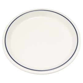 MIKASA Concord Blue Line Plate 22 T-783641