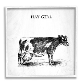 Stupell Industries Hay Girl Funny Phrase Farmhouse Dairy Cow Pun White Framed Wall Art, 17 x 17, Grey