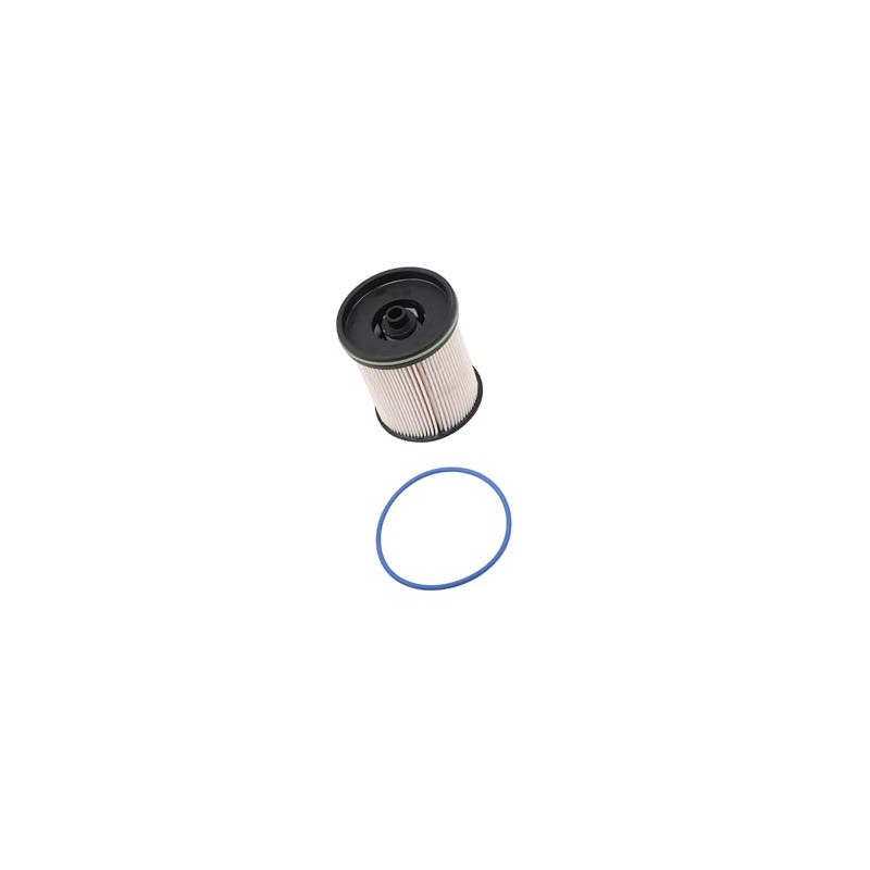 GM Genuine Parts TP1015 (13539108) Fuel Filter Kit with Seals