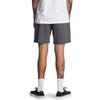 Quiksilver Taxer Ws Men's Shorts