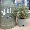 7 Inch Self-Watering Bamboo Planter (Sage Green) - Round -