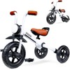 KRIDDO 2-in-1 Kids Balance Bike and Kids Tricycle for 2