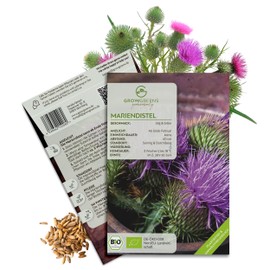 Organic Milk Thistle Seeds - Medicinal Herb Seeds from Organic Cultivation, Ideal for the Home Herb Garden, Balcony and Garden (50 Grain)
