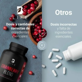 Arándano Concentrado 50:1. 180 Caps Cranberry Blend B Life. Sabor Sin sabor