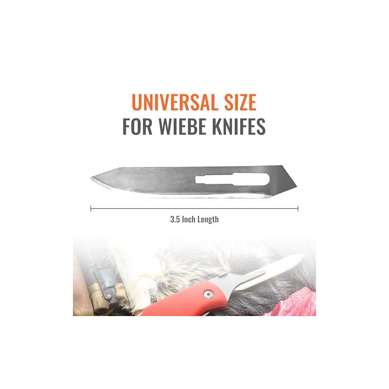 Wiebe Wicked Sharp Replacement Blades (100-Pack) | Surgical-Grade Scalpel Blades
