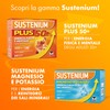 Sustenium Plus Gusto Limone e Miele - lntegratore energizzante a