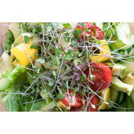 GreenEase 10x20 Jute Microgreens Hydroponic Grow Pads - 10 Pack, Fits 10x20 Standard Nursery Tray. Grow Nutritious Organic Microgreens, Wheat Grass, Plant and Seed Germination. Organic Use Certified.