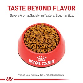 Royal Canin Feline Breed Nutrition Bengal Adult Dry Cat Food, 7 lb Bag