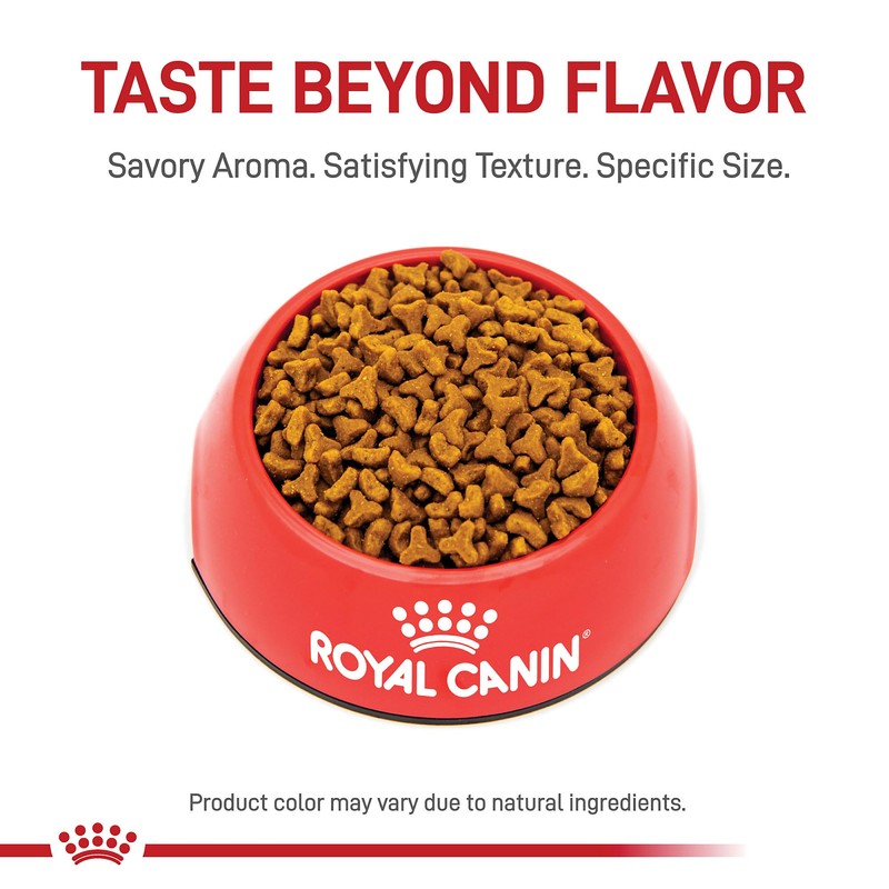 Royal Canin Feline Breed Nutrition Bengal Adult Dry Cat Food,