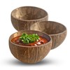 Eco Leaf 10-Pack 350ML Natural Coconut Bowls| Natural Coconut Shell