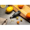 Zyliss 2 in 1 Zester, Citrus Grater/Zester with Coarse and