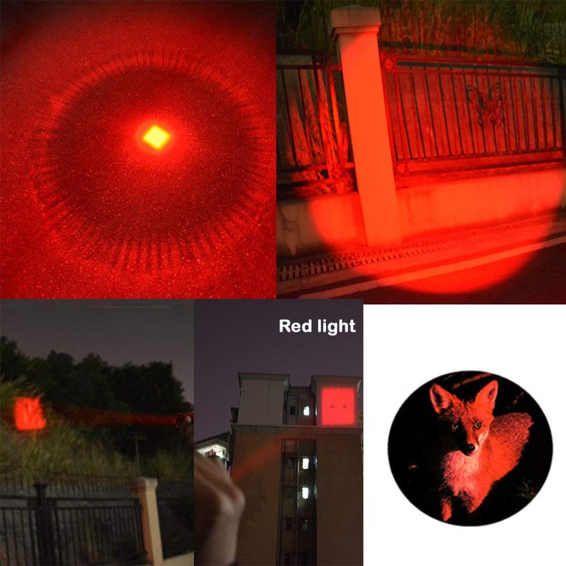 WAYLLSHINE Multicolored Flashlight Pack: Red, Blue, Green, 395 UV, White