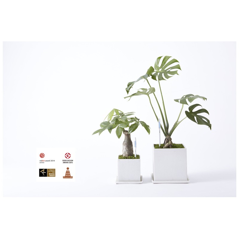 Cabinoche SUSTEE C-0016 Water Checker Susty Refill Single Pack, Large