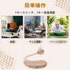 Auyeetek集音器 しゅうおんき 高齢者集音器 音声拡聴器 両耳兼用 USB充電式 耳掛け式 小型 軽量 簡単操作