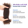 Afro Kinky Curly Human Hair Bulk for Permanent Micro Locs/Twists/Braids/Repair