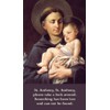 St. Anthony, patron saint of lost articles, prayer card (2-pack)