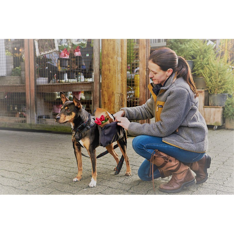 RC Pet Products Quest Day Pack, Dog Backpack, Heather Teal,