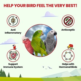 Bird Street Bistro Parrot Tea 3oz - Parakeet Food - Parrot Food & Cockatiel Food Vitamin Substitute - Bird Health Supplies - Bird Food Parrot Tea - Bird Food Topper