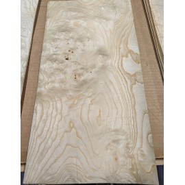 White Ash Burl wood veneer raw with no backing Ash White Burl wood veneer 11" x 23" raw no backing 1/42" thickness A grade