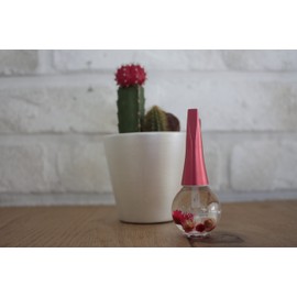 Belinda Cuticle Oil Dainty Sweet Red Pea Scent, 12ml (x1)