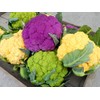 Colorful Cauliflower Mix of 5 Varieties Seeds for Planting Around