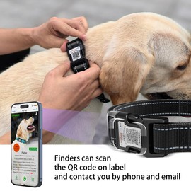 Airtag Dog Collar with QR Code, Reflective Dog Collar with Airtag Holder, Soft Padded & Safety Locking Buckle Adjustable Dog Collar for Small Dogs (S-with Airtag Holder,Black)