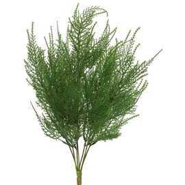 Vickerman FK170001 Everyday Asparagus Bush